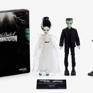COPY - COPY - Frankenstein & Bride of Frankenstein Monster High Skullector dolls